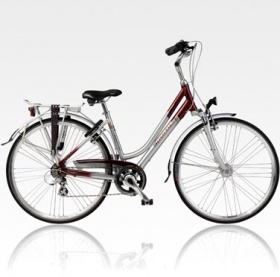 www.fietsenwim.be